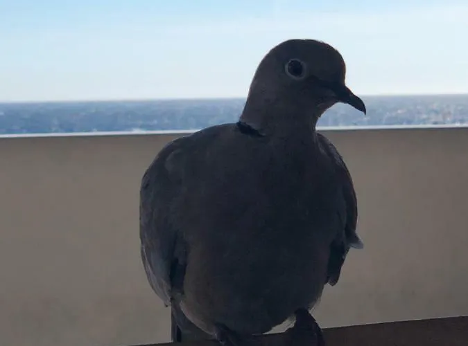 Oda ve Kahvaltı Aba Luxury B E B