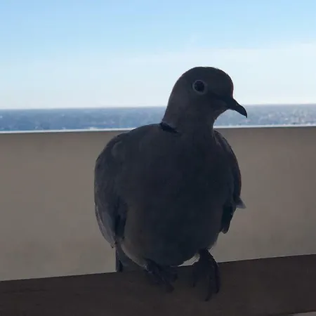 فندق مبيت وإفطار Aba Luxury B E B